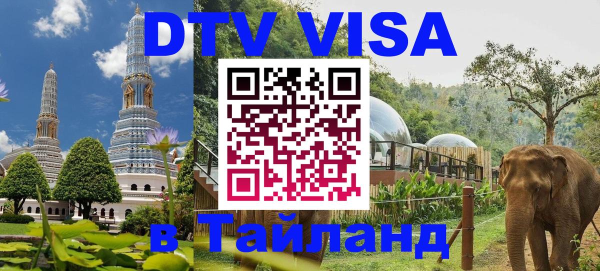 Оформление DTV визы под ключ: стоимость и тарифы, только загранпаспорт - 19.11.2025 